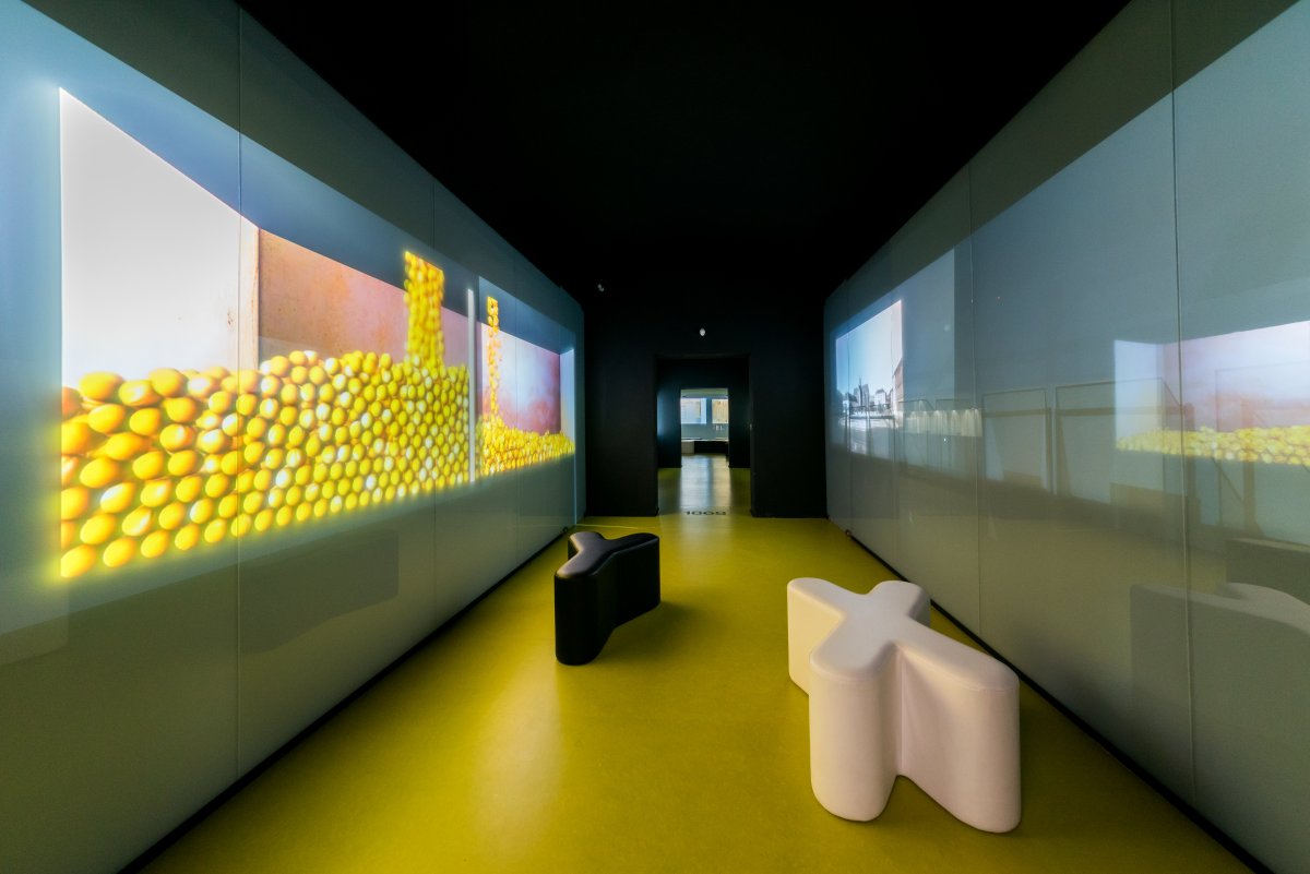 Mendelovo muzeum - výstava